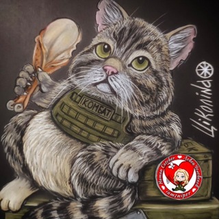 ФРОНТОВЫЕ БУДНИ КОТА КОМБАТА channel avatar