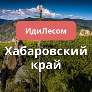 Аватар канала ИдиЛесом Хабаровский край путешествия
