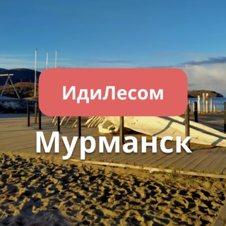 Аватар канала ИдиЛесом Мурманская обл путешествия