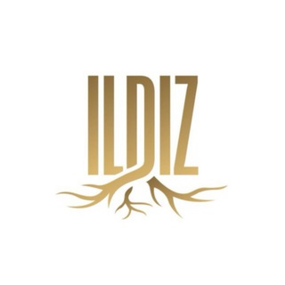 Ildiz kitoblari | Rasmiy kanal channel avatar