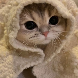 нотмалваре)️️ channel avatar