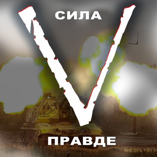 ImpNavigator channel avatar