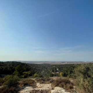 InfoПоходная channel avatar