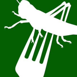 Insekten in Lebensmitteln channel avatar