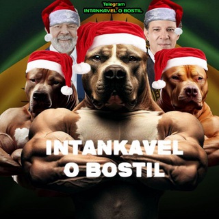 INTANKAVEL O BOSTIL channel avatar