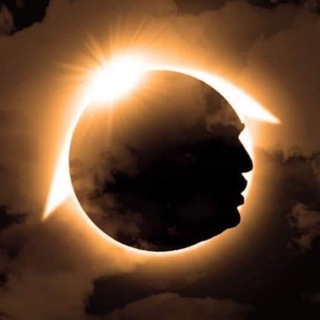 IN THE SHADQWS channel avatar