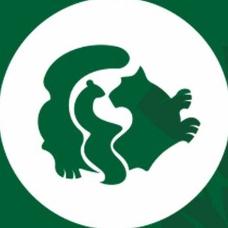Аватар канала Иркутский Зоосад