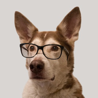 ITDog channel avatar