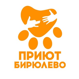 Аватар канала Приют Бирюлево