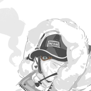 meow.meow co. channel avatar