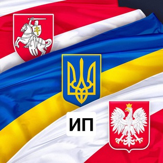 Аватар канала ИП в Польше