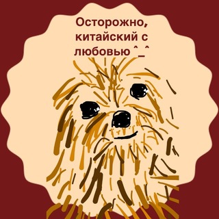 Осторожно, китайский с любовью от 金华老师 channel avatar