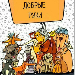 Добрые руки🐾🐾 channel avatar