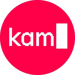 Аватар канала kamyshev.code