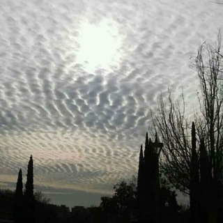Chemtrails/Haarp/Wettermanipulation channel avatar