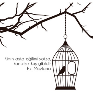 Kanatsız kuş channel avatar