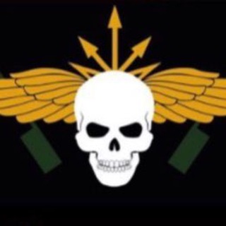 NerV channel avatar