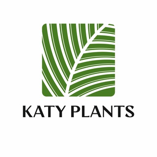 Аватар канала Katy Plants