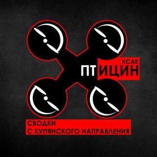 ПТИЦИН \ KCAE channel avatar