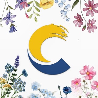 Детский центр «Созвездие» - лучший лагерь страны 2026 channel avatar