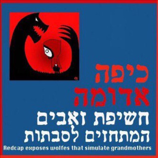 Аватар канала חשיפת זאבים מתחזים לסבתות - הערוץ הרשמי