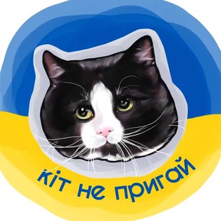 кіт не пригай channel avatar