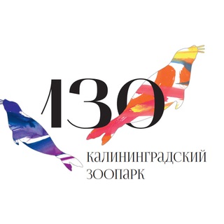 Аватар канала Калининградский зоопарк