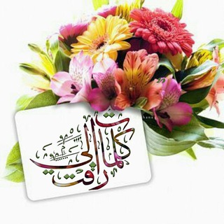 كـلــمـات راقــت لــي channel avatar