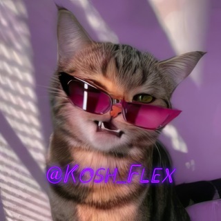 кошачий флекс channel avatar
