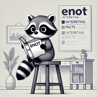 Факты от ENOTA channel avatar