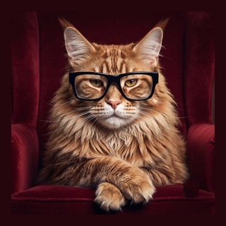 Кот Х.П. channel avatar
