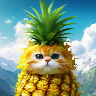 Котовое-артовое channel avatar
