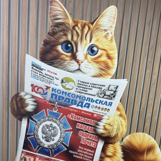 Аватар канала КП Ростов-на-Дону. Новости региона