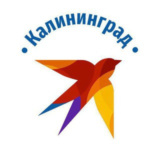 Аватар канала КП Калининград | Новости региона