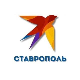 КП Ставрополь. Новости Северного Кавказа. Stav.kp.ru channel avatar