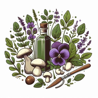 Kräuterwissen, Pilze & Rezepte channel avatar