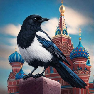 Аватар канала Кремлевская сорока