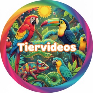Аватар канала Tiervideos