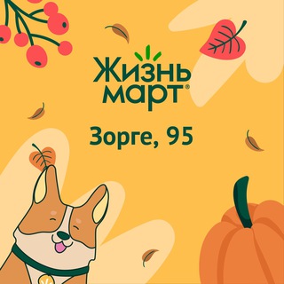Аватар канала Чат друзей Жизньмарта, Казань, Рихарда Зорге, 95