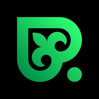 Pokerdom 🇰🇿 KZ channel avatar