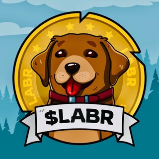 Labrador Adventures $LABR channel avatar