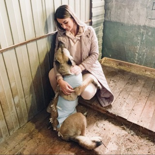 Аватар канала Лапка Добра🐾