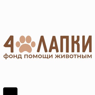 Аватар канала 4_lapki