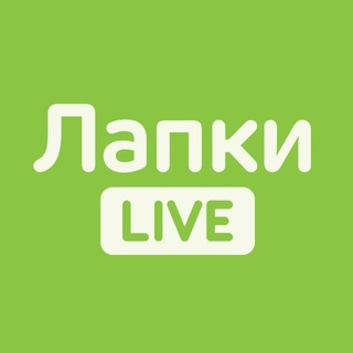 Аватар канала Лапки LIVE