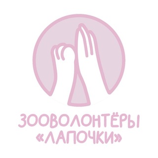 Аватар канала ЗООВОЛОНТЁРЫ «ЛАПОЧКИ»