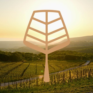 Le K2 Winery channel avatar