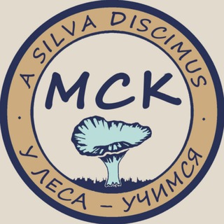 Лесарий в Москве channel avatar