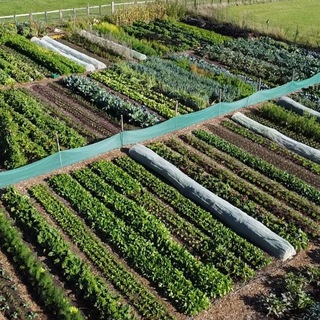 Living Soil Gardening channel avatar
