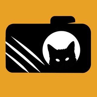 Аватар канала Подсмотрено за животными
