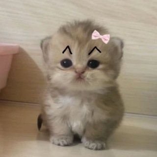 бесит channel avatar